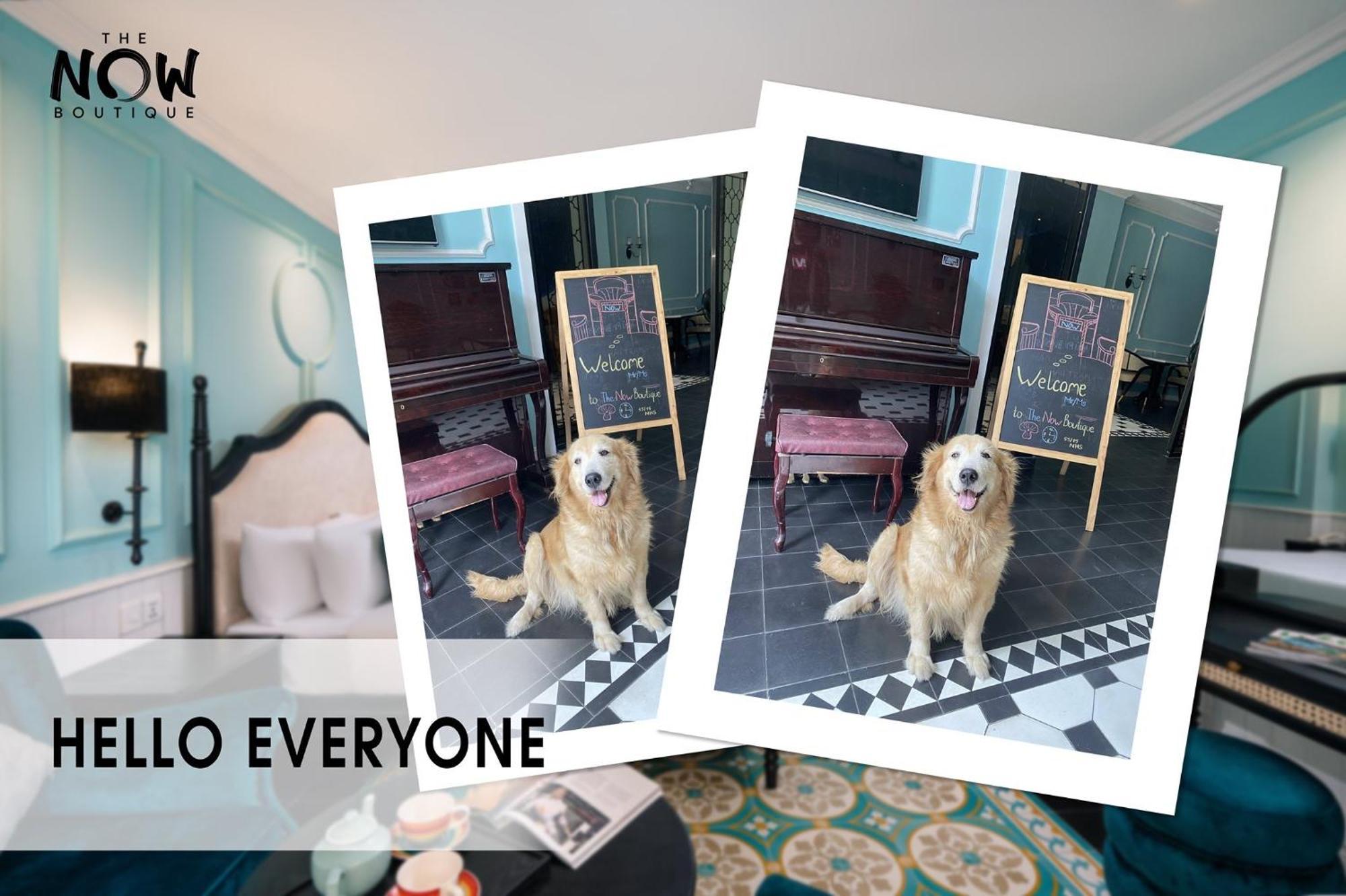 The Now Boutique Hotel & Apartment Дананг Экстерьер фото
